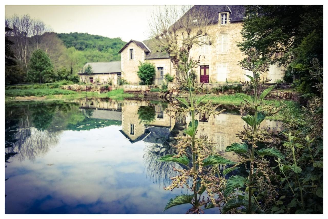 O Reve De Gabriel Bed & Breakfast Saint-Amand-de-Coly Exterior foto