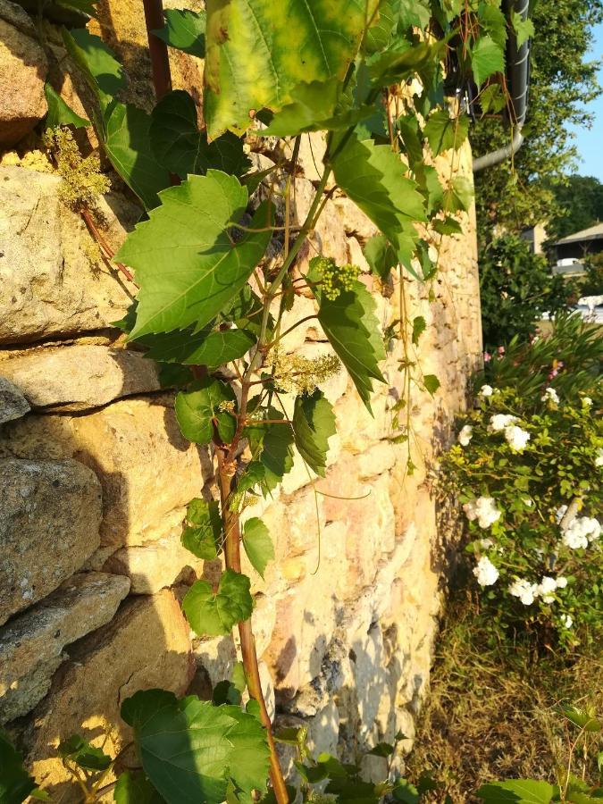 O Reve De Gabriel Bed & Breakfast Saint-Amand-de-Coly Exterior foto