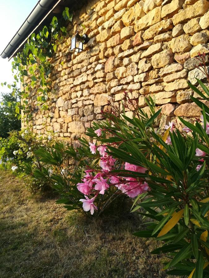 O Reve De Gabriel Bed & Breakfast Saint-Amand-de-Coly Exterior foto