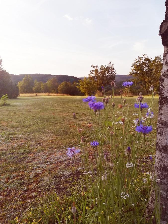 O Reve De Gabriel Bed & Breakfast Saint-Amand-de-Coly Exterior foto