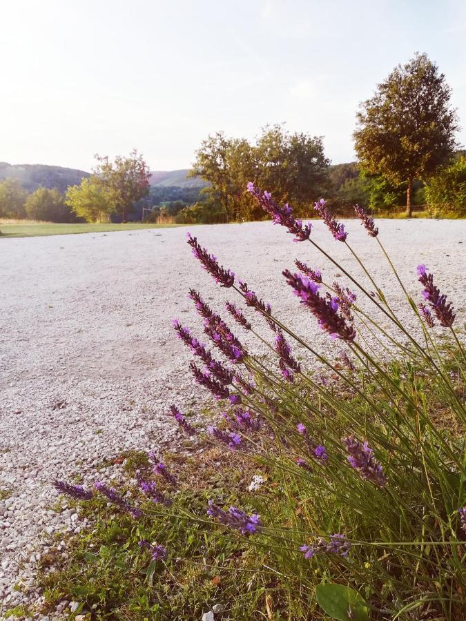 O Reve De Gabriel Bed & Breakfast Saint-Amand-de-Coly Exterior foto